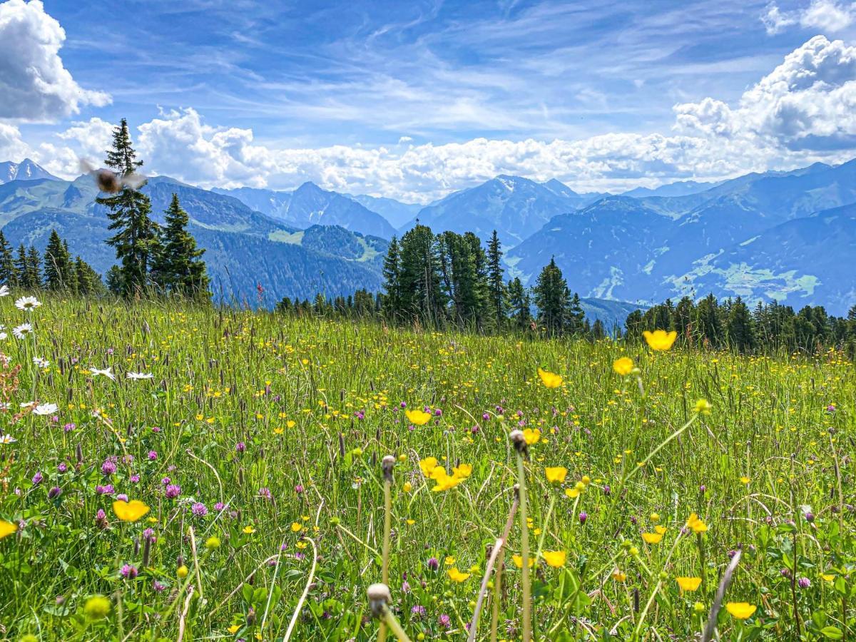 Appartement Franz Zell am Ziller Buitenkant foto